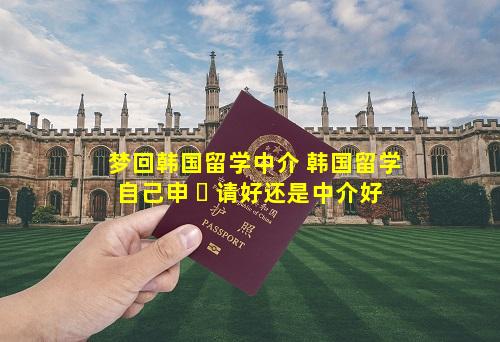 梦回韩国留学中介 韩国留学自己申 ☘ 请好还是中介好
